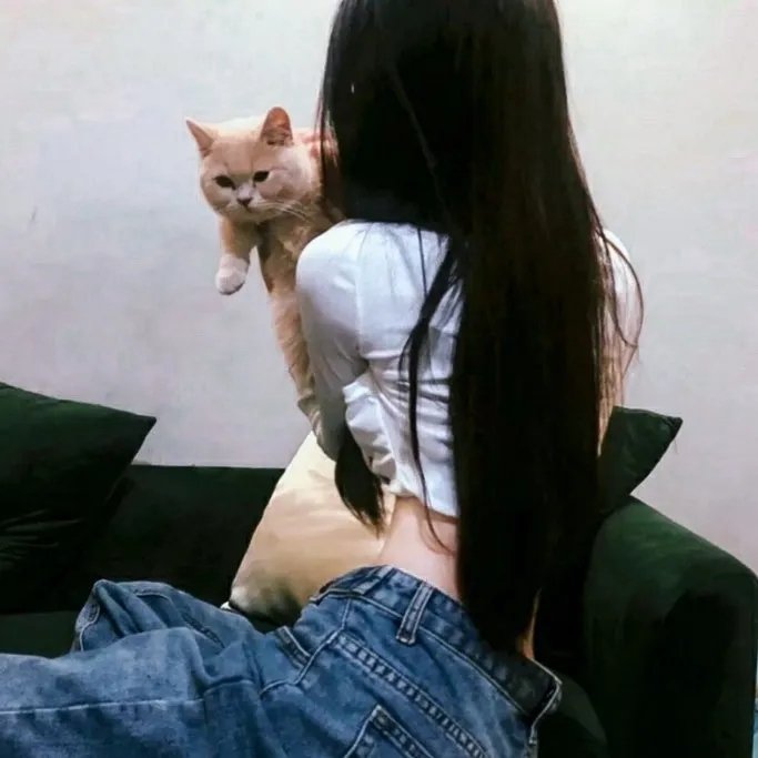 名校的阶梯